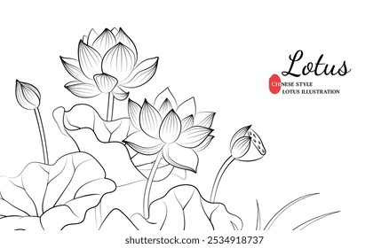 Ilustrações lineares de lotus pintadas à mão