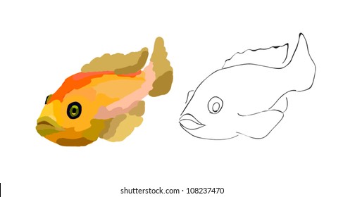 Hand painted fish