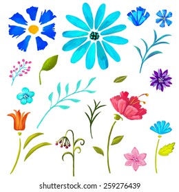 Hand painted floral watercolor set, different flowers and leaves isolated on a white background. Art design elements