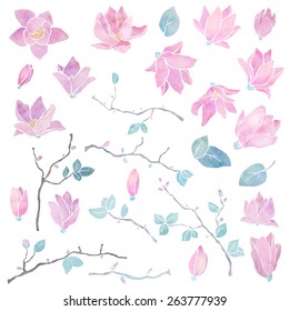 Hand painted floral watercolor set, magnolia flowers, branches and leaves isolated on a white background. Art icon design, logo elements