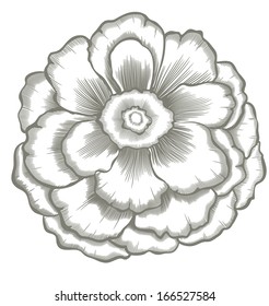 hand painted flower