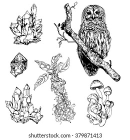 Hand painted ink Black Magic Set of Owl, Minerals and Crystals, Mandragora root and Mushrooms. Vector line art objects. 