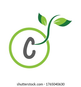 Hand painted letters Capital letter C with green leaves Natural elements Vector logo isolated on white background.