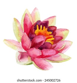 Hand painted lotus flower. watercolor vector illustration