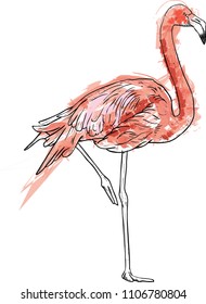 Hand painted modern vector flamingo bird. Texure grunge Style with drawing outline.