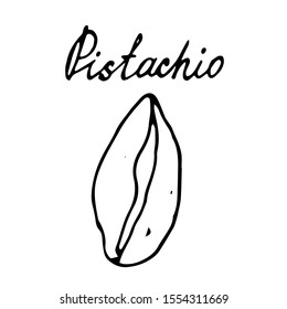 Hand painted nut on an isolated white background. Black outline pistachio. Vector illustration.