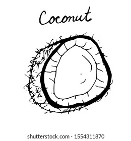 Hand painted nut on an isolated white background. Black outline coconut. Vector illustration.