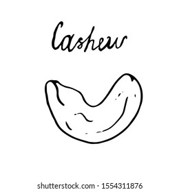 Hand painted nut on an isolated white background. Black contour cashews. Vector illustration.