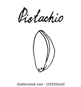 Hand painted nut on an isolated white background. Black outline pistachio. Vector illustration.
