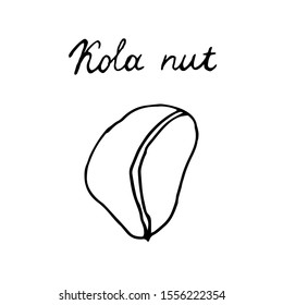 Hand painted nut on an isolated white background. Black contour stake nut. Vector illustration.