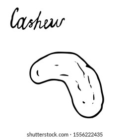 Hand painted nut on an isolated white background. Black contour cashews. Vector illustration.