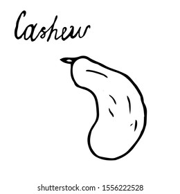 Hand painted nut on an isolated white background. Black contour cashews. Vector illustration.
