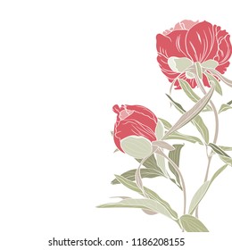 Hand painted simple peonies. Spring or summer flowers with space for your text.