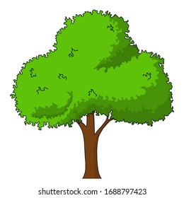 Hand painted tree Isolated on white background, vector illustration.