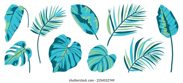 Hand painted tropical leaves vector set. Botanical exotic rainforest foliage, jungle plants, palm leaves painting style isolated on white background. Design for cosmetic, product, spa, decoration.