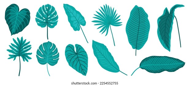 Conjunto vectorial de hojas tropicales pintadas a mano. Follaje exótico tipo botánico, planta de selva, monstera y hojas de palma aisladas en fondo blanco. Diseño cosmético, producto, spa, decoración.