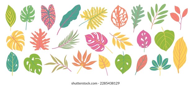 Hand painted tropical leaves vector set. Botanical exotic earth tone color foliage, palm leaves with grunge painting style isolated on white background. Design for cosmetic, product, spa, decoration.