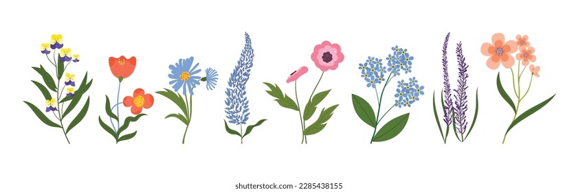 Hand painted tropical leaves vector set. Botanical exotic earth tone color foliage, wildflowers with grunge painting style isolated on white background. Design for cosmetic, product, spa, decoration.