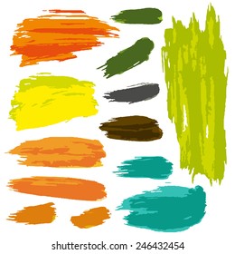 hand painted vector brush collection