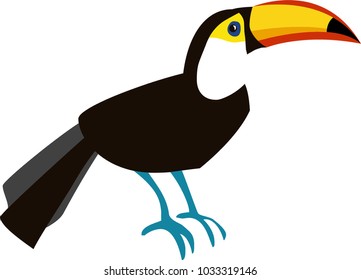 Hand painted Vector Illustration of a Toucan Bird isolated on white Background.