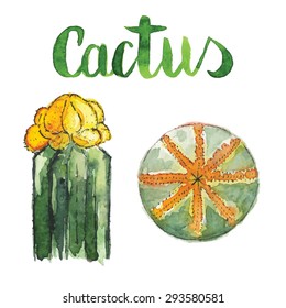 Hand painted vector illustration. Vintage cactuses set.