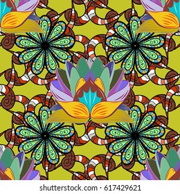 Hand painted vector mandala, colored on colorful background, indian peacock, indian pattern, colored mandala, mandala peacock.