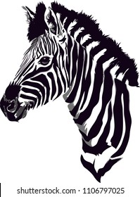 29,740 Zebra Head Images, Stock Photos & Vectors | Shutterstock