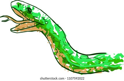 Hand painted Vector Snake Portrait