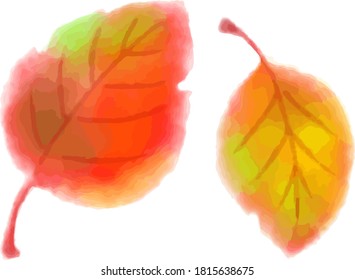 hand painted watercolor autumn leaves, vector illustration