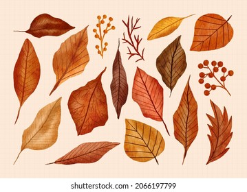 Hand Painted Watercolor autumn leaves collection