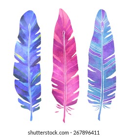 Hand painted watercolor bird feathers closeup isolated on white background colorful set. Art scrapbook elements, sketch, hand drawn 