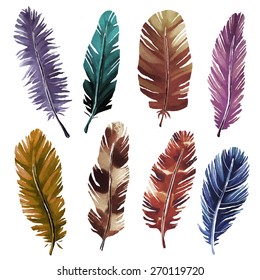 Hand painted watercolor bird feathers closeup isolated on white background set. Art scrapbook elements, vintage, sketch, hand drawn