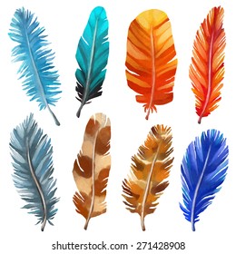 Hand painted watercolor bird feathers closeup isolated on white background colorful set. Art scrapbook elements, sketch, hand drawn 