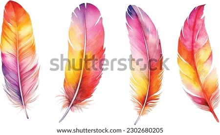 Hand painted watercolor bird feathers closeup isolated on white background colorful set. Art scrapbook elements, sketch, hand drawn, vector, eps
