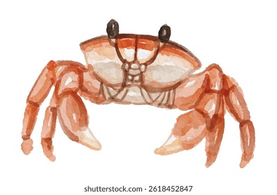 Hand painted watercolor crab isolated