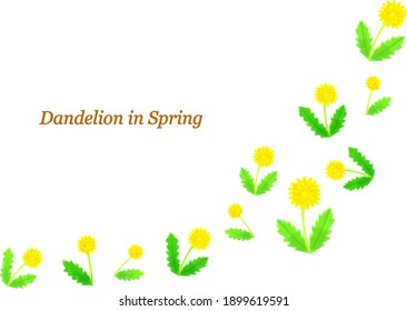 hand painted watercolor Dandelion line illustration