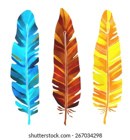 Hand painted watercolor feathers closeup isolated on white background set. Art design elements