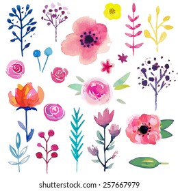 Hand Painted Watercolor Flower. Vector illustration.