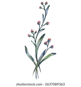 Hand Painted Watercolor Flower Vector Illustration Floral Element on White Background