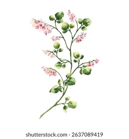 Hand Painted Watercolor Flower Vector Illustration Floral Element on White Background
