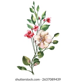 Hand Painted Watercolor Flower Vector Illustration Floral Element on White Background