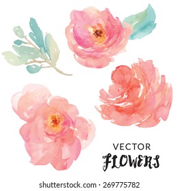 Hand Painted Watercolor Flower Vector. 