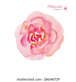 Hand Painted Watercolor Flower Vector. Vector Watercolor Flowers. Watercolor Rose Vector