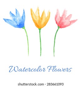 Hand painted watercolor flowers. Graphic design elements for baby shower and wedding invitations, birthday cards, corporate identity and business cards, web sites and scrapbooking. Vector illustration