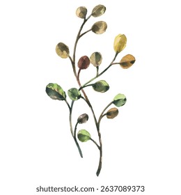 Hand Painted Watercolor Green Leaves Branch Vector Illustration Botanical Element on White Background