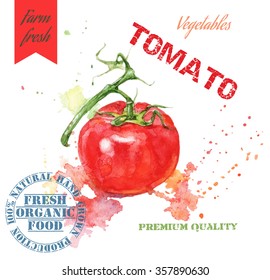 Hand painted watercolor illustration of tomatoes with splashes on white background. Design for food, farmers production and vegetarian menu.Vector illustration