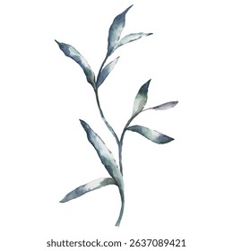 Hand Painted Watercolor Leaves Branch Vector Illustration Botanical Element on White Background