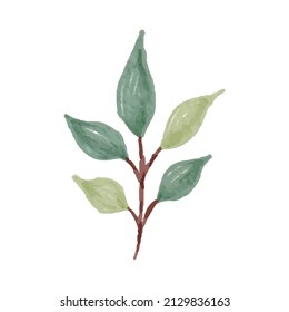 Hand Painted Watercolor of Leaves and Stem