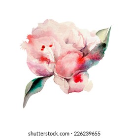 Hand Painted Watercolor Peonies. Watercolor Vector.  Illustration for greeting cards, invitations, and other printing projects.