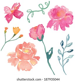 Hand Painted Watercolor Pink Flower Vector 